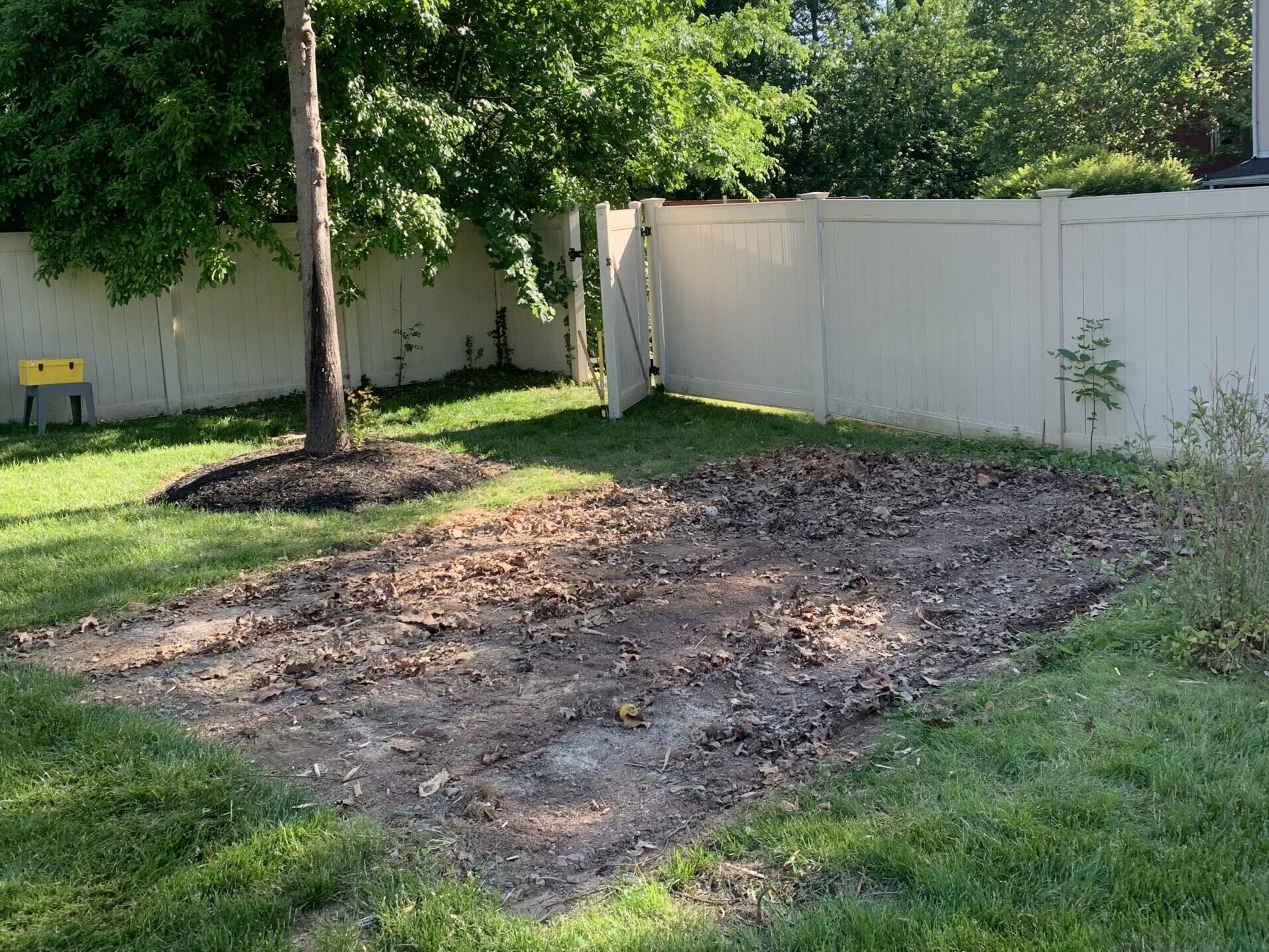 clear backyard area after junk removal